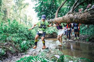 BIB: 
                            <button type="button" onclick="openModal(25476238)" class="btn btn-primary btn-sm float-right btn-popup" data-toggle="modal" data-target=".modal-high-quality">
                        <i class="fas fa-shopping-cart"></i> Add to Cart
                    </button>
                                            <button type="button" onclick="isThisMe(25476238, true)" class="btn btn-success btn-sm float-right btn-popup btn-isme hidden" data-toggle="tooltip" data-placement="bottom" title="นี่คือรูปของคุณใช่ไหม คลิกที่นี่เพื่อเอาเข้าอัลบั้ม">
                        <i class="fas fa-plus"></i> Add to album
                    </button>
                    <button type="button" onclick="isThisMe(25476238, false)" class="btn btn-warning btn-sm float-right btn-popup btn-isnotme hidden">
                        <i class="fas fa-ban"></i> Remove from album
                    </button>